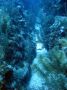 AmbergrisCaye05 - 067